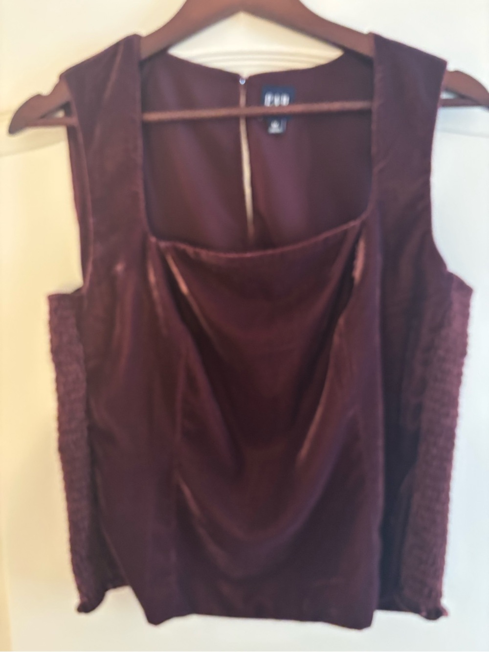 Velvet Sleeveless Top in Plum